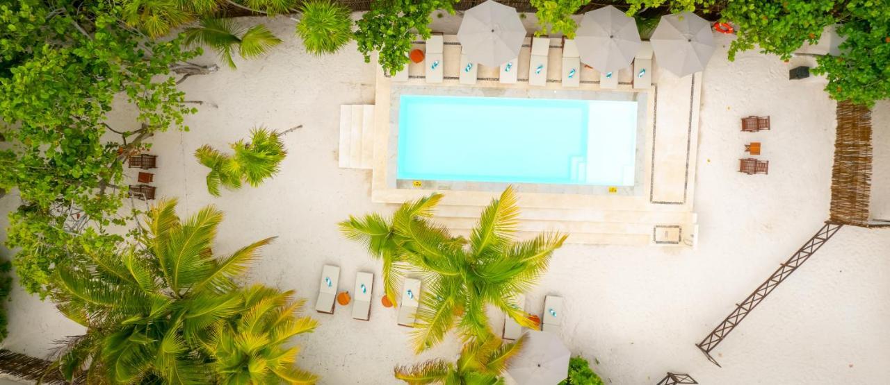 El Paraiso Hotel Τουλούμ Εξωτερικό φωτογραφία
