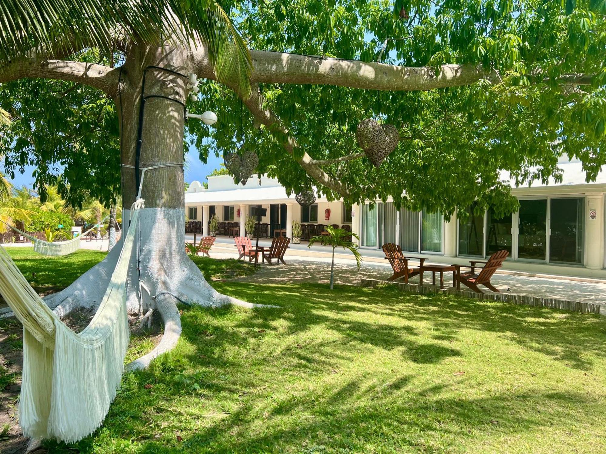 El Paraiso Hotel Τουλούμ Εξωτερικό φωτογραφία